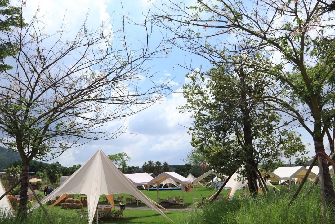 石兄弟 | 一群人，一個(gè)目標(biāo)，一起成長(zhǎng)！